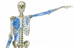 arm line.jpg